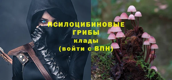 герыч Иннополис